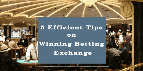 5 Efficient Tips on Winning Betting Exchange